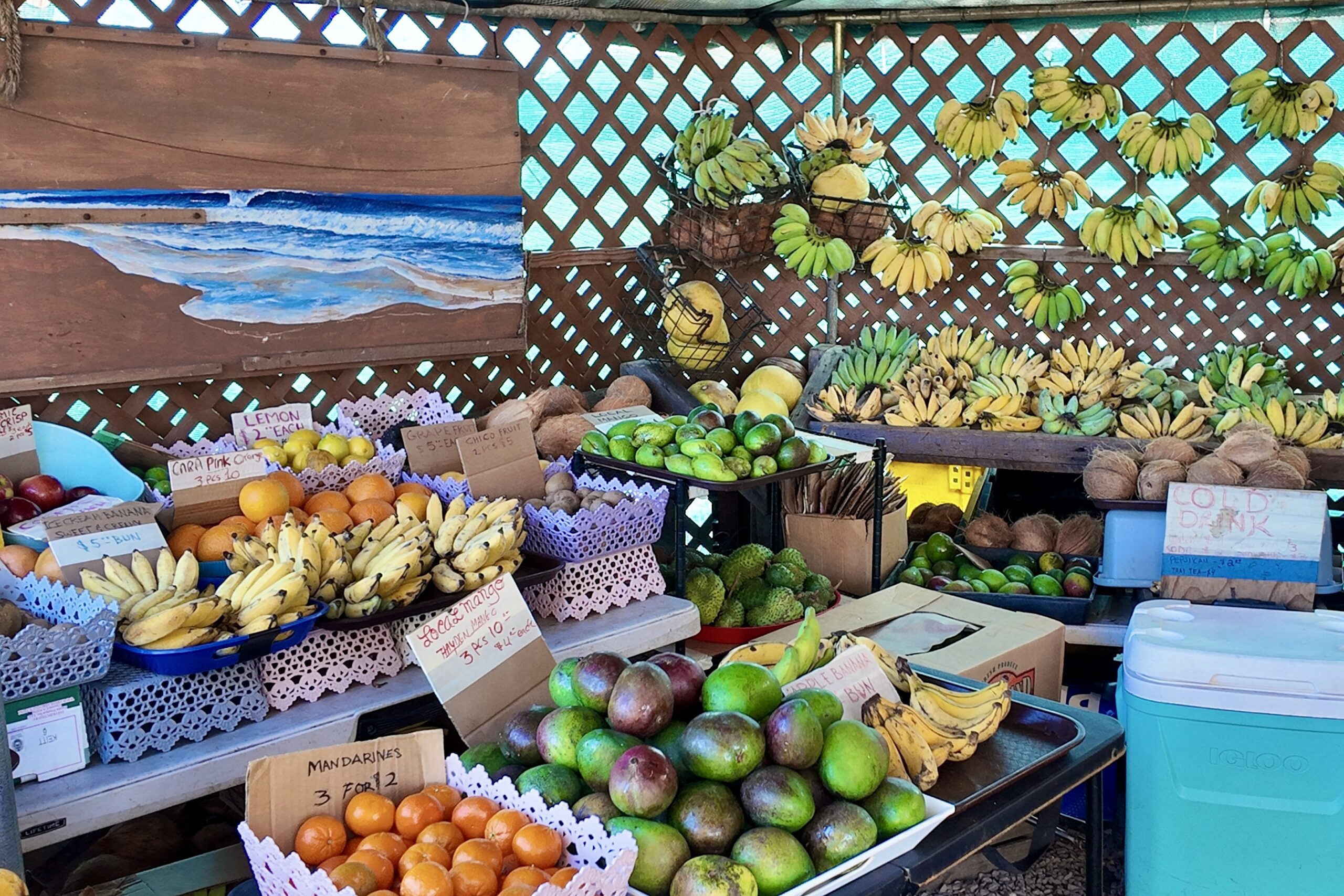 Food Stand