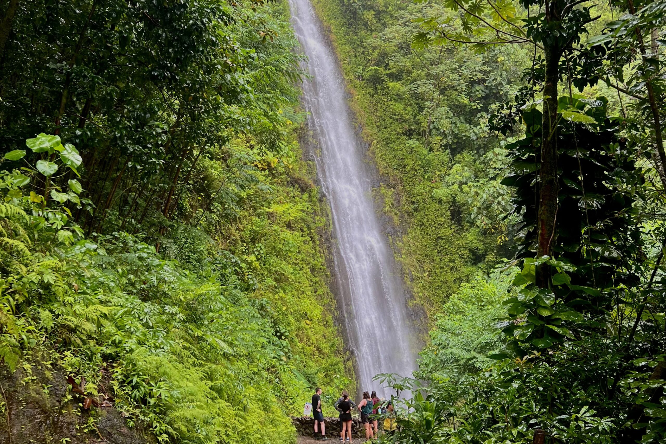 Manoa Falls