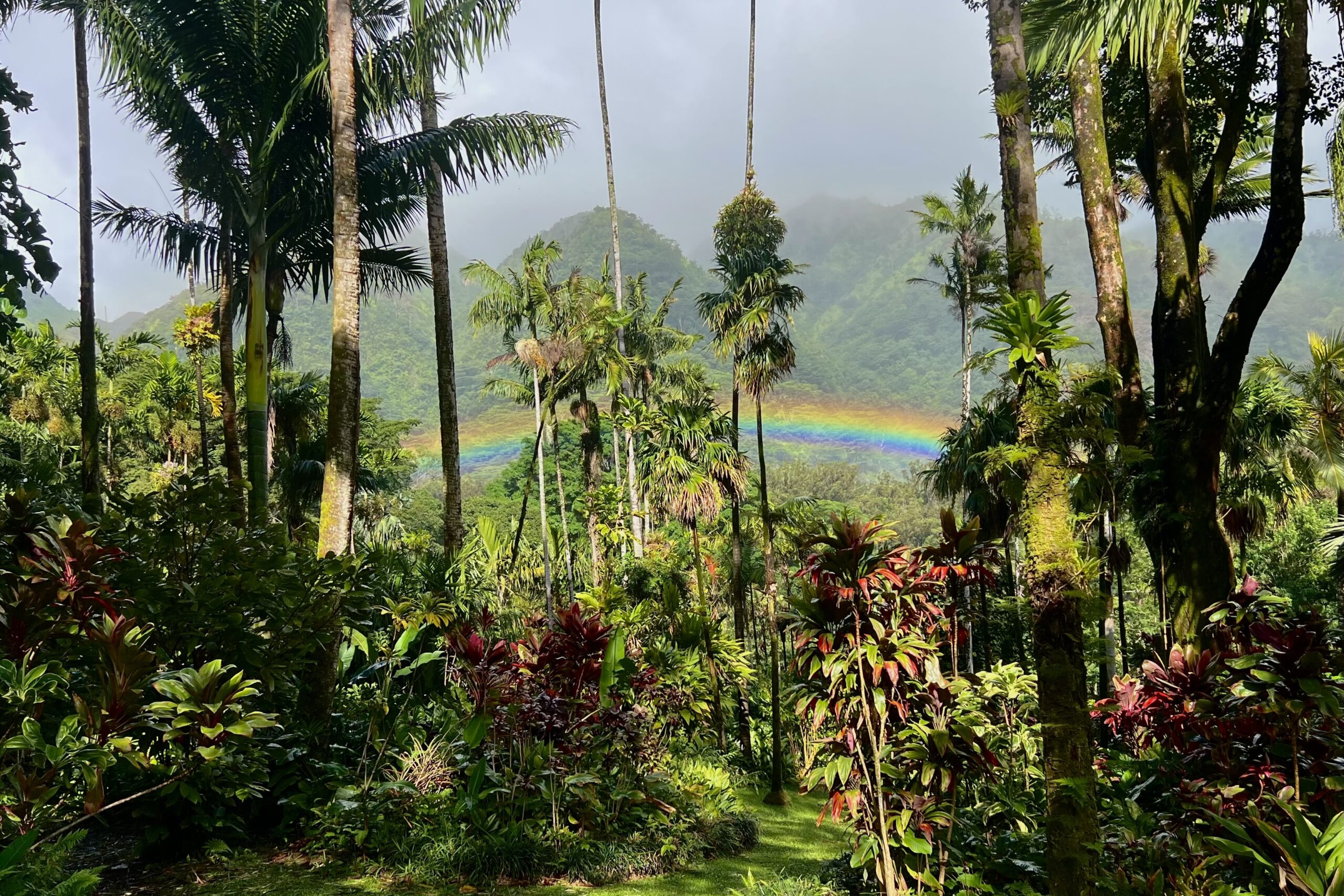 Manoa Falls with Rainbow