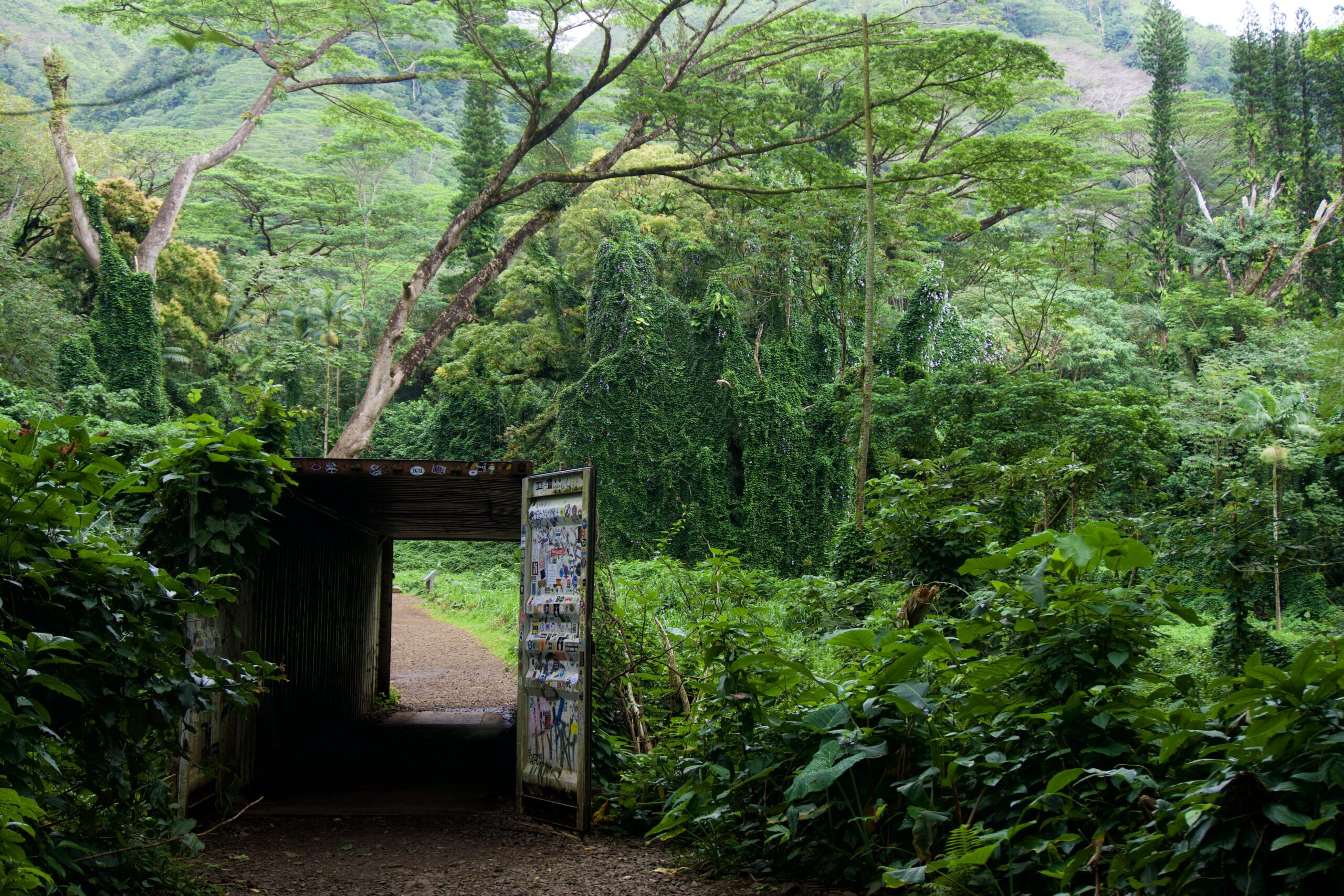 Manoa Trail